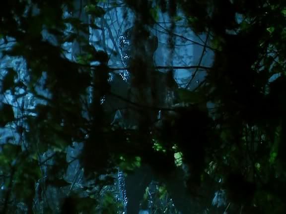 ed2k: The.Legend.Of.Gator.Face....